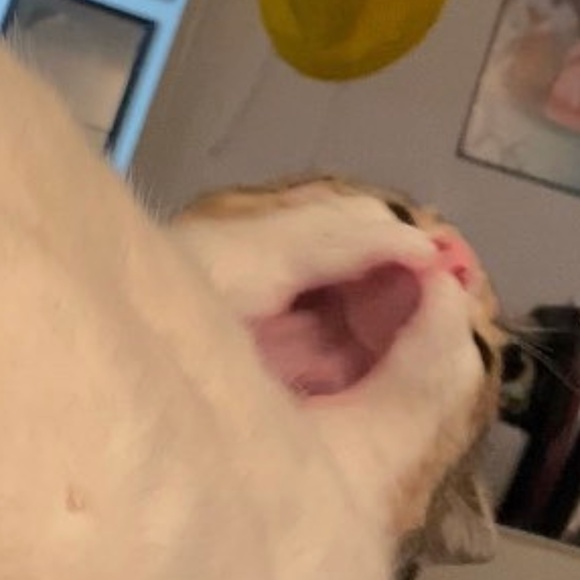 Mhm - Picture 1 of 1